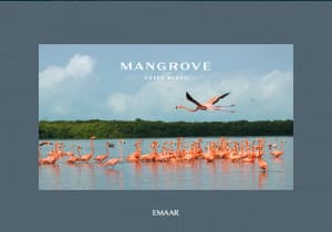 Mangrove — real estate project in Dubai, UAE
